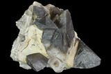Dogtooth Calcite Crystal Cluster - Morocco #99672-1